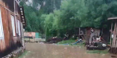 WhatsApp Video 2026 07 03 at 09 02 10 mp4 thumbnail png
