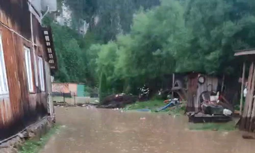 WhatsApp Video 2026 07 03 at 09 02 10 mp4 thumbnail png