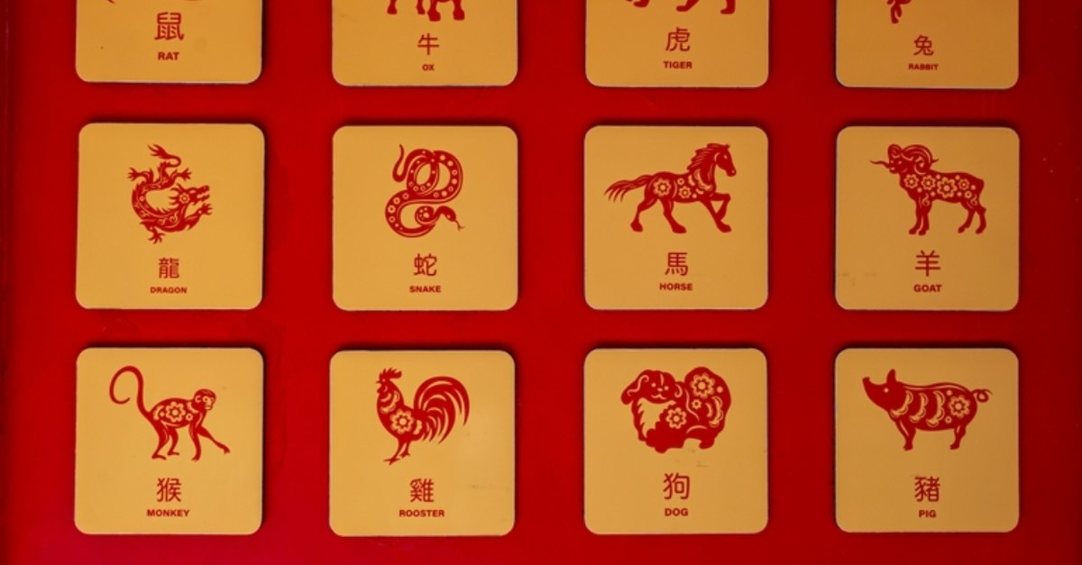 Incredibil! „Taxă de horoscop” într-un spital românesc. Cât costă să-ți afli ascendentul