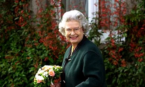 4856932812 e0e174da54 jpeg