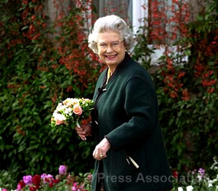 4856932812 e0e174da54 jpeg