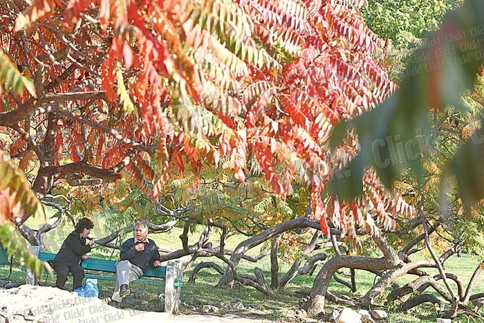 Ce poate fi mai romantic decât o plimbare cu barca pe lac, înconjuraţi de nuanţele calde ale toamnei?