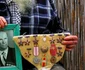 Delta Dunării Sursa foto Facebook Sorin Onişor