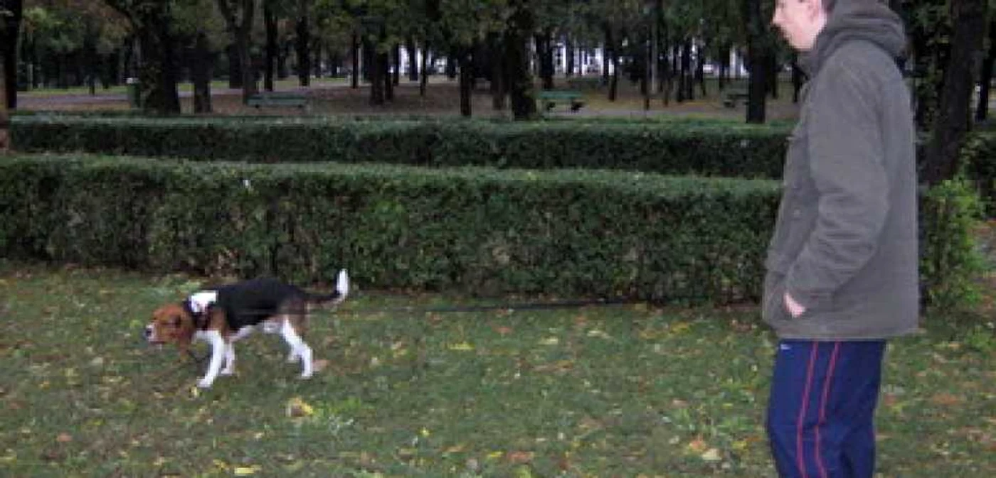 Oradea: Cățeii din Ioșia vor avea parcul lor