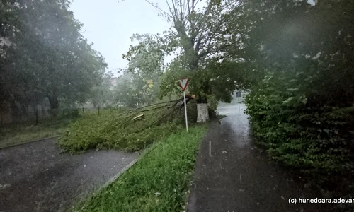 furtuna in hunedoara  Foto Daniel Guță ADEVĂRUL (2) jpg