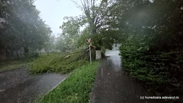 furtuna in hunedoara Foto Daniel Guță ADEVĂRUL (2) jpg
