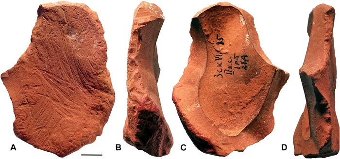 Fragment de ocru folosit de neanderthalieni (© d'Errico et al., Sci. Adv. 11, eadx4722; CC BY 4.0)