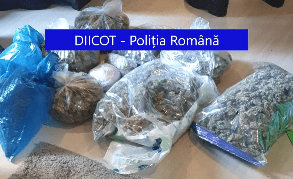 Traficanți de droguri reținuți în Ialomița. Aveau „filială” și pe litoralul Mării Negre