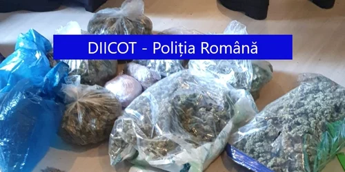 Droguri confiscate de DIICOT