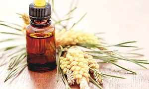 CLIIMA20121223 0040 1 jpeg