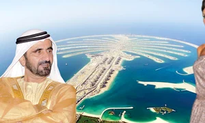 CLIIMA20100127 0190 1 jpeg