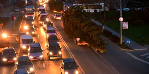 brazi de craciun cluj