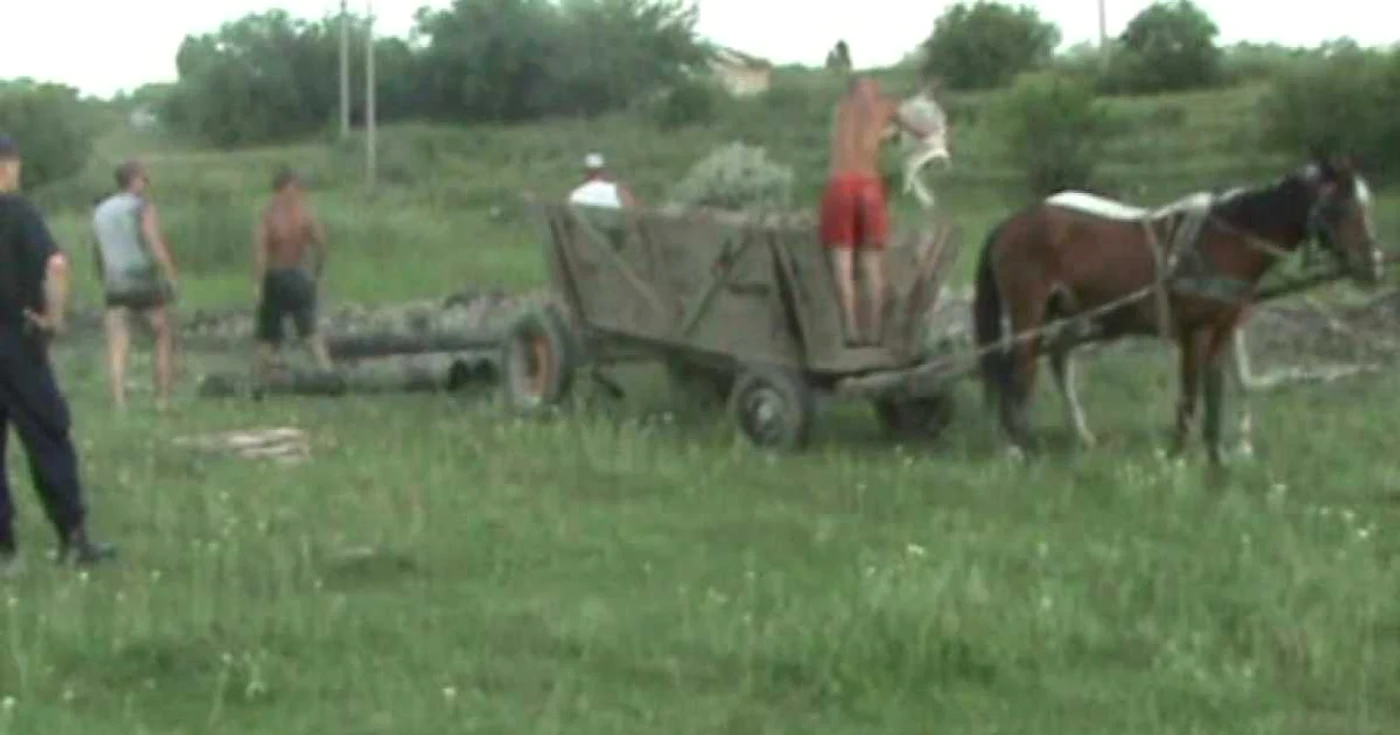 Hoţii au fost depistaţi în timp ce încărcau ţevile în căruţă