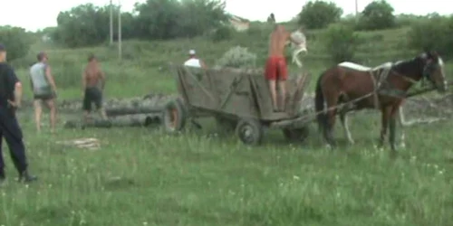 Hoţii au fost depistaţi în timp ce încărcau ţevile în căruţă