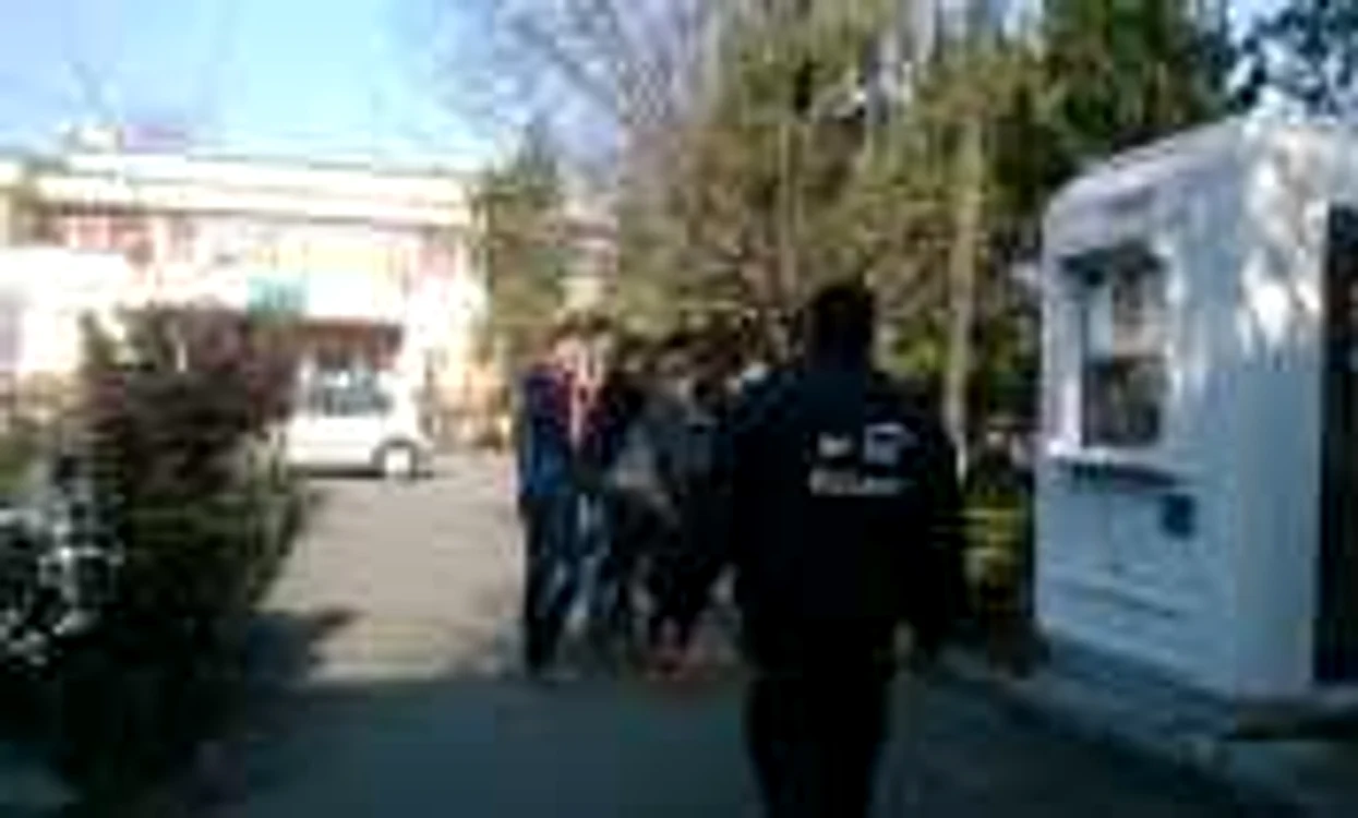 simulare romana george cosbuc