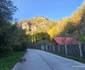 Traseul Mocănițelor Hunedoara Govajdia Foto Daniel Guță ADEVĂRUL (90) JPG