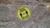 14 20200620 180414 jpg jpeg
