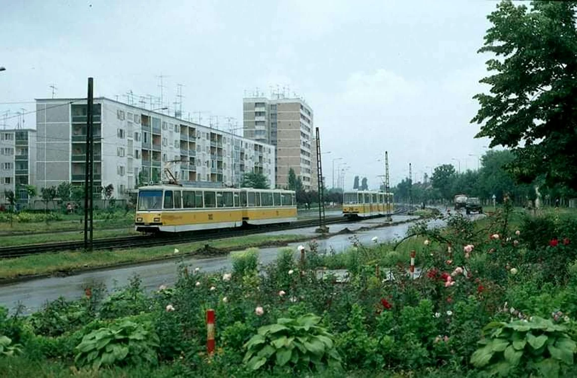 Din albumul bunicilor FOTO PMT