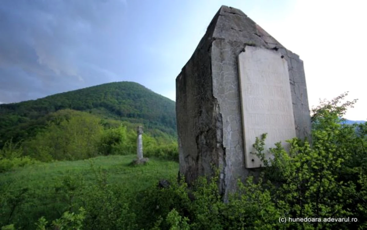 tara zarandului
