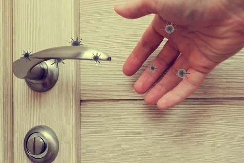 1 coronavirus jpg jpeg