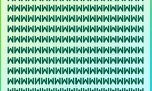Spot the letter N que 1778334611485 jpg