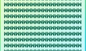 Spot the letter N que 1778334611485 jpg