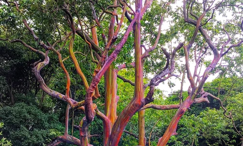 7 39089508 305204033364113 6002263877591498752 n jpg jpeg