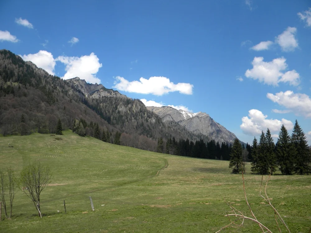 Poiana Regală, o pajişte alpină cu privelişti spectaculoase. FOTO Dana Mihai