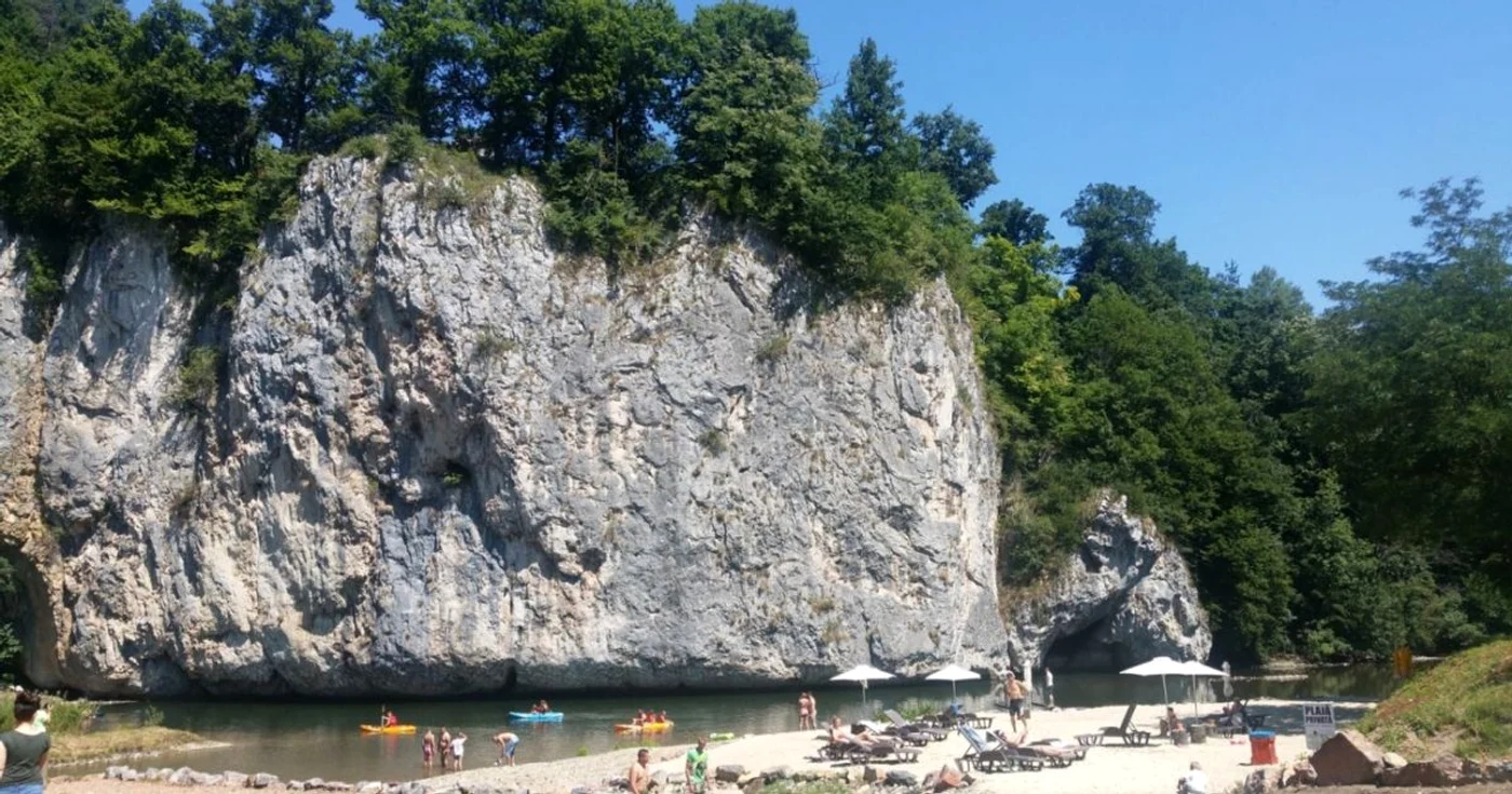 Sebi Lascu
