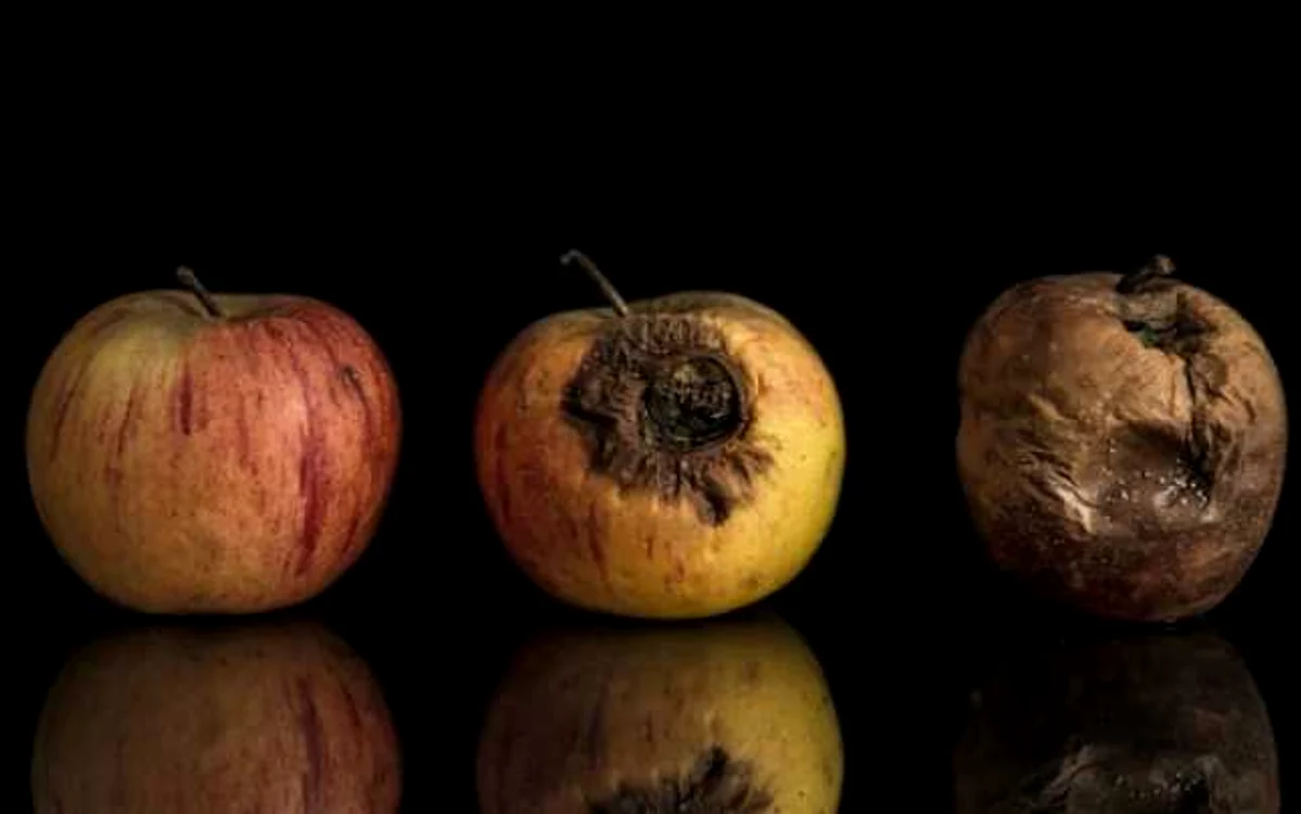 Cele trei stadii de degradare a unui măr. Sursă foto: www.securityintelligence.com