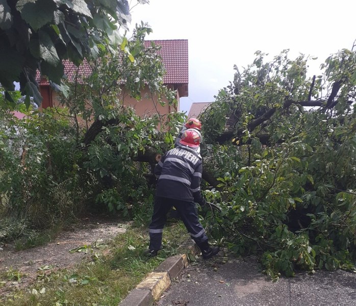 16 localităţi rurale din Maramureș, fără energie electrică în urma furtunii. 10 linii de electricitate afectate