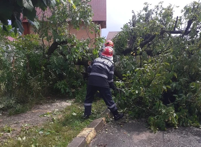 Copacii au rupt firele de tensiune în mai multe localități din țară. FOTO IGSU