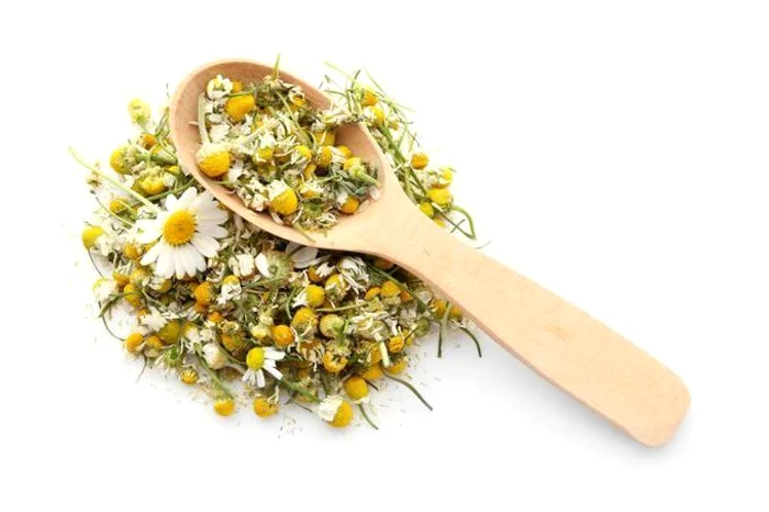 6 plante naturale care îți pot îmbunătăți sănătatea.
