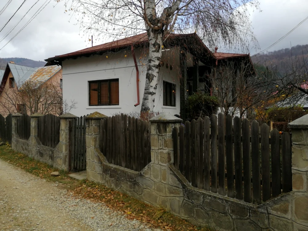 buzaucasabenonesinulescu