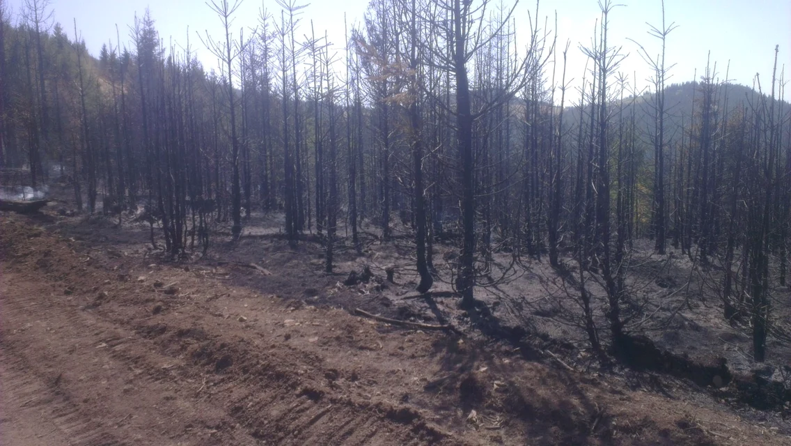 incendiu limita judet suceava 2