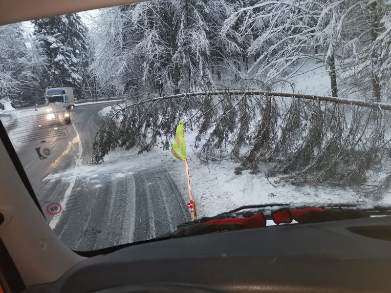 Ninsori și viscol în România. Drumuri acoperite cu zăpadă, copaci prăbușiți de rafalele de vânt și trenuri întâziate 