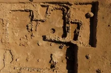Rămășițe de făină de grâu, descoperite într-o brutărie veche de 3.000 de ani (© Patrick Okrajek /  Live Science)