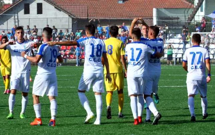 Pandurii