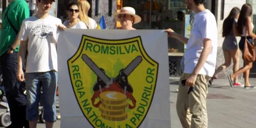 protest paduri sibiu 7.06.2015