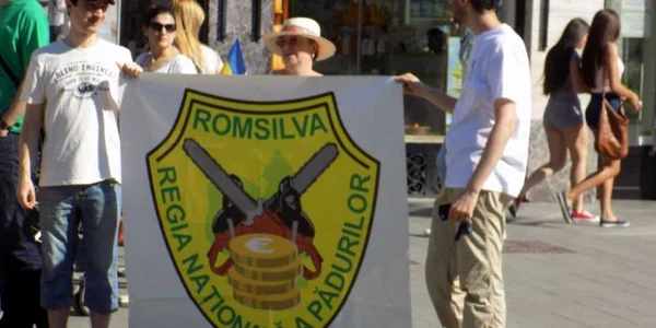 protest paduri sibiu 7.06.2015