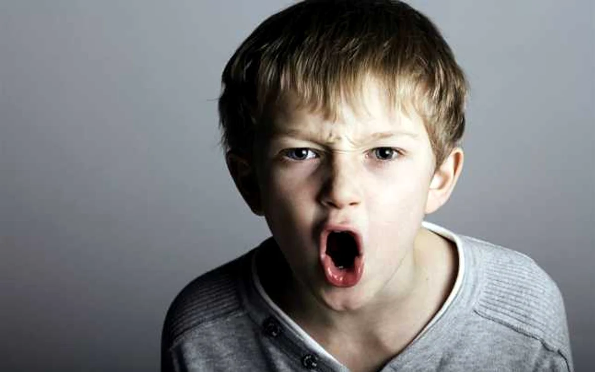 Tulburările de comportament ale copiilor, puse pe seama
agresivităţii părinţilor. Foto familyinaction.gr