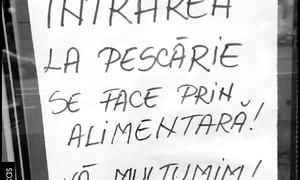 Cu ochii n 3,14 jpeg