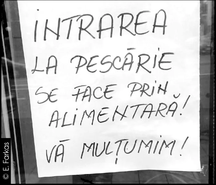 Cu ochii n 3,14 jpeg
