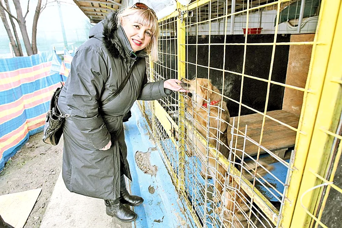 Nuami Dinescu are acasă 3 câini şi 6 pisici