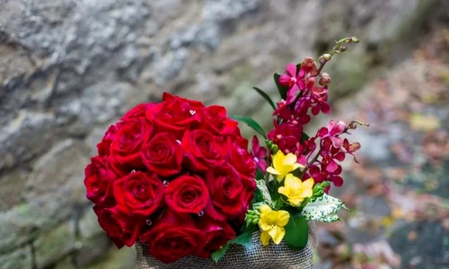 Crăciunul corporate: Daruri elegante, prețuri fără concurență (P) jpeg