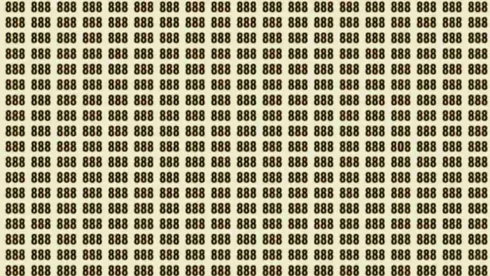Trebuie să găsim numărul „808” în doar 8 secunde