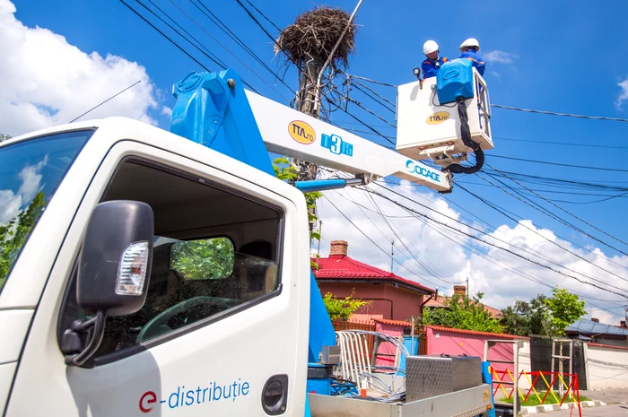 Puiul a fost coborât cu o nacelă de către electricieni