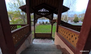 Buzias  Foto Daniel Guță ADEVĂRUL (3) jpg