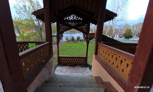 Buzias  Foto Daniel Guță ADEVĂRUL (3) jpg