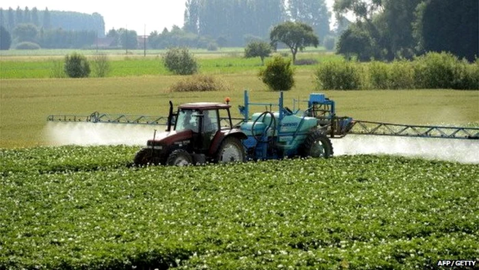 Pesticidele pot bloca sau mima acţiunea hormonilor, dăunând grav sănătăţii FOTO bbc.com